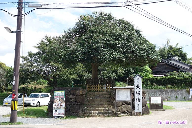日本求姻緣 神社 izu05