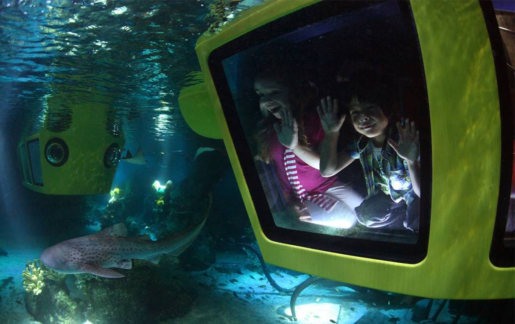 LEGOLAND LEGO005亞洲首個Submarine Adventure可潛進海底探索海洋生物。