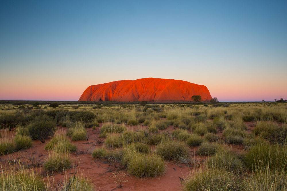 澳洲 Uluru的日落時分顯得更紅色。
