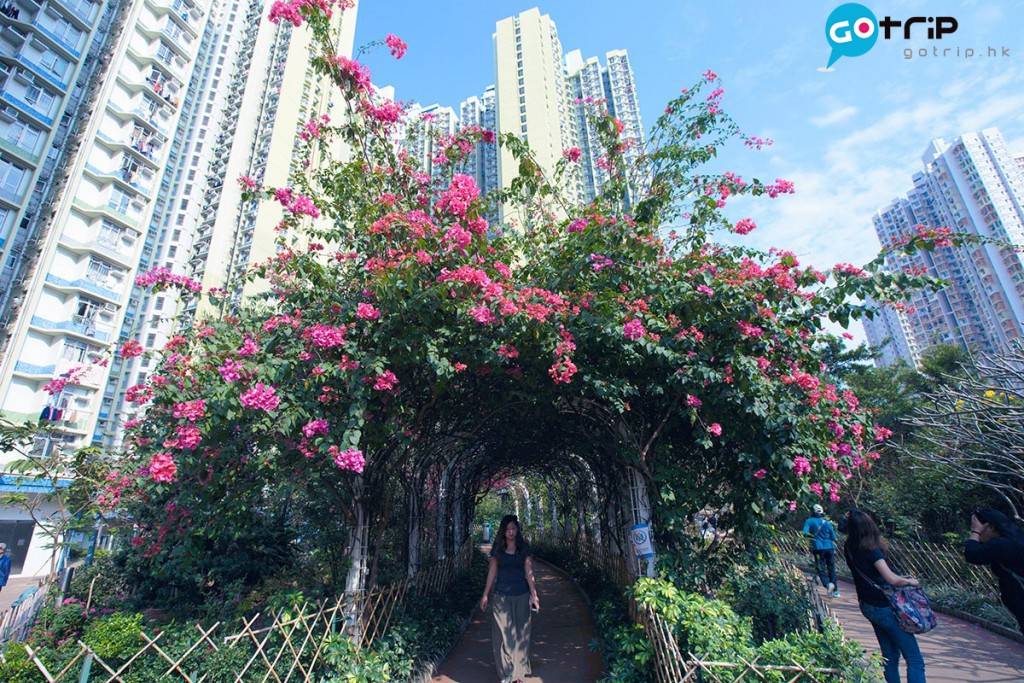 南昌公園 隧道外已經開滿花，可以站在隧道口拍照。