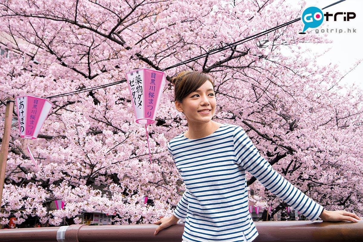 東京櫻花 浪漫的櫻花粉色滿佈目黑川