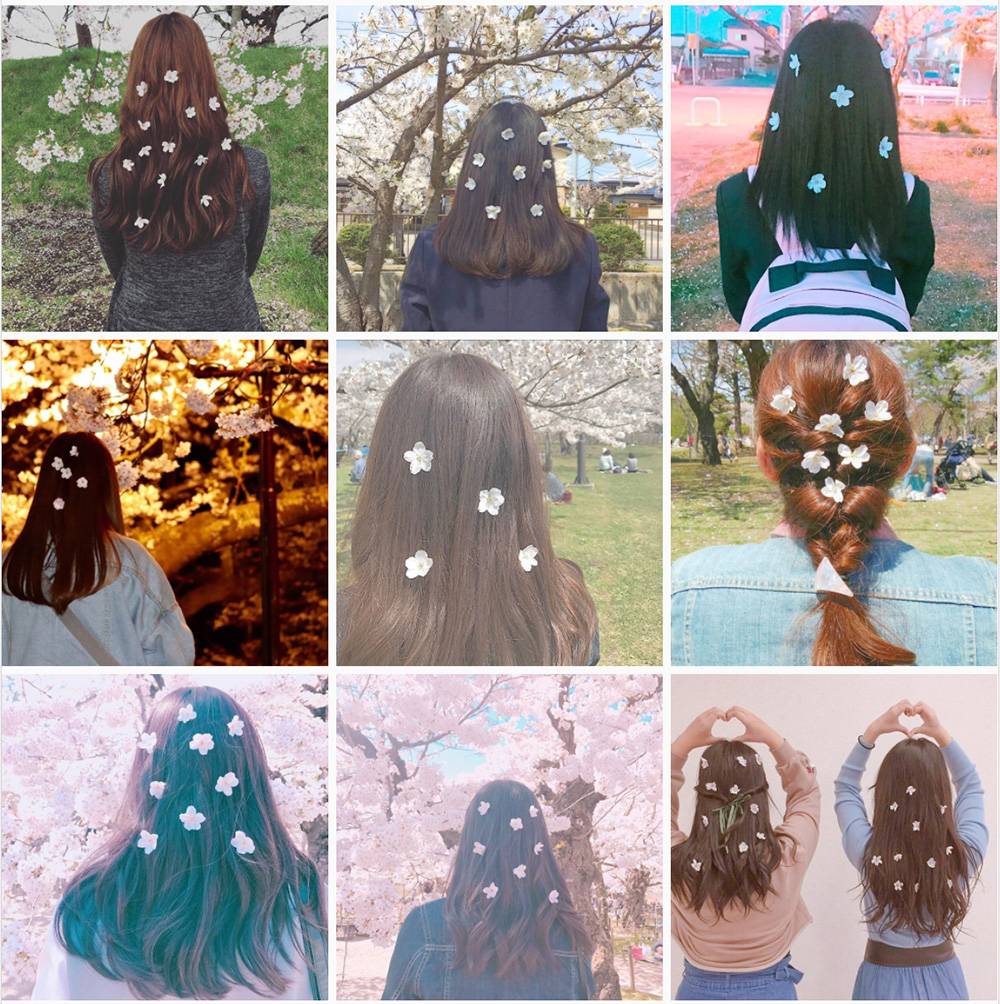 法律陷阱 Instagram上搜尋「桜ヘアー」這個tag還會找到女生把櫻花當作頭飾的照片，但她們是從樹上採摘還是從地上撿到就還未確定。