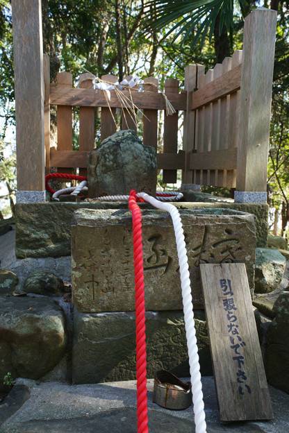 日本神社 自凝島神社「鶺鴒石」