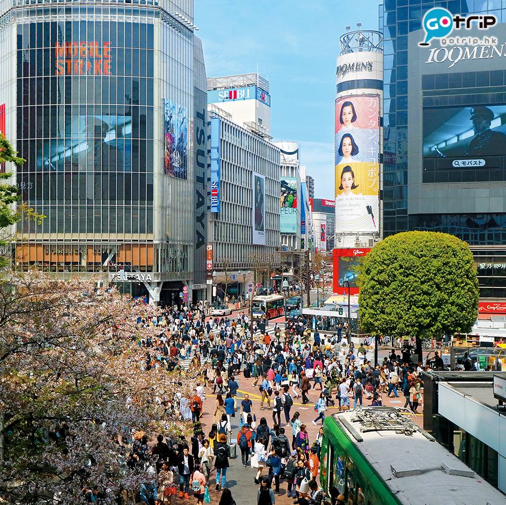 12生肖 在東京這個熱鬧的城市，有著不同的朝聖地點。
