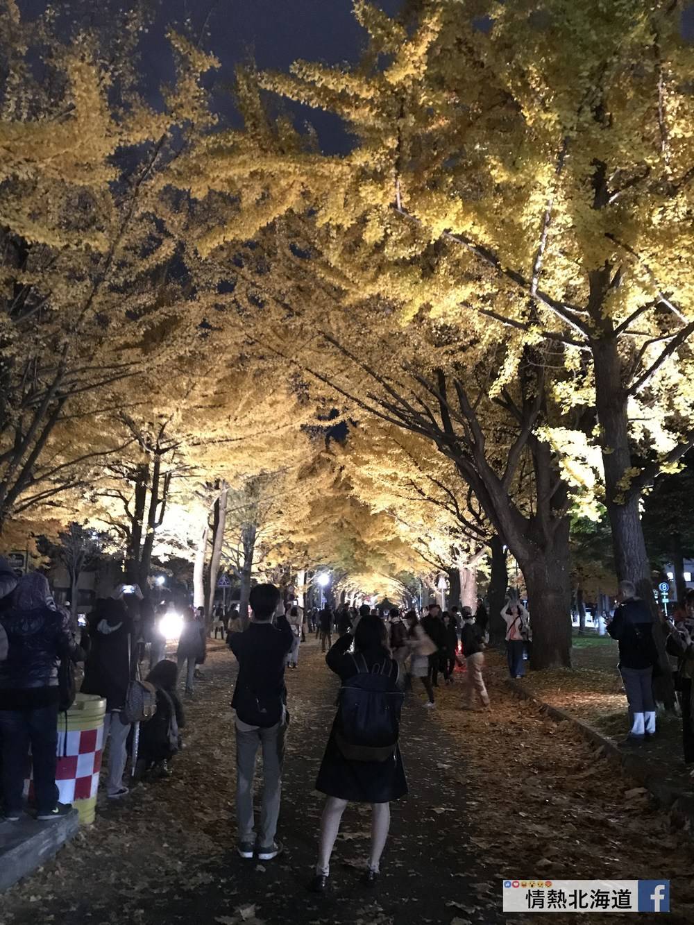 日本紅葉2019 北海道
