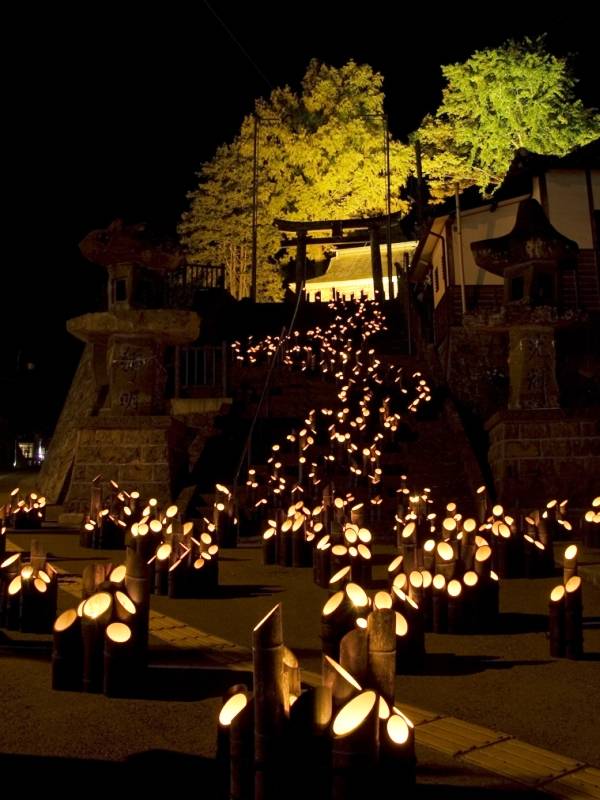 九州景點 由神社開始綿延成條路，宛如傳說《輝夜姬》嘅故事場面。