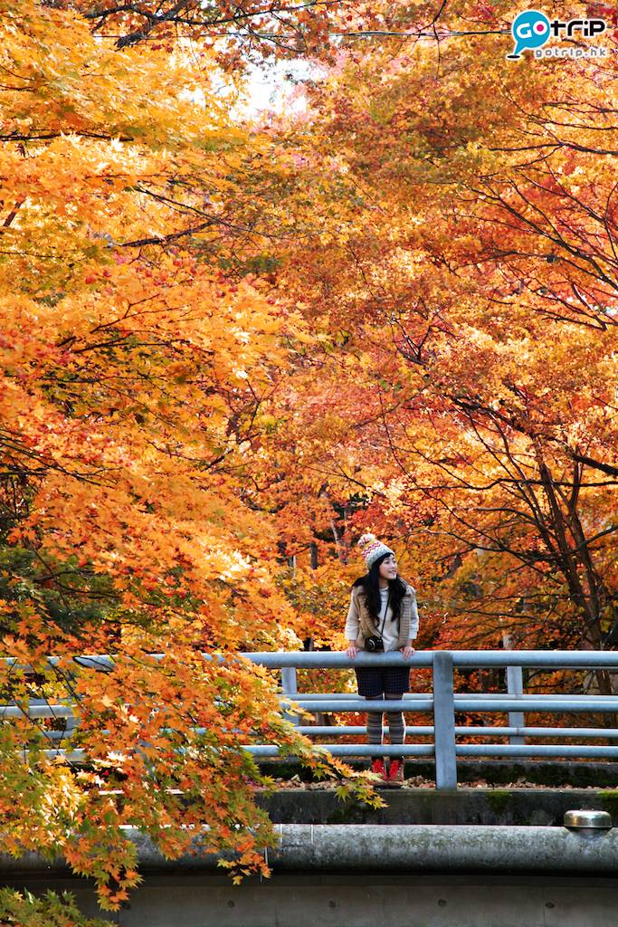 影紅葉技巧 要影出鮮艷嘅秋楓，提高色彩飽和度係個好方法！