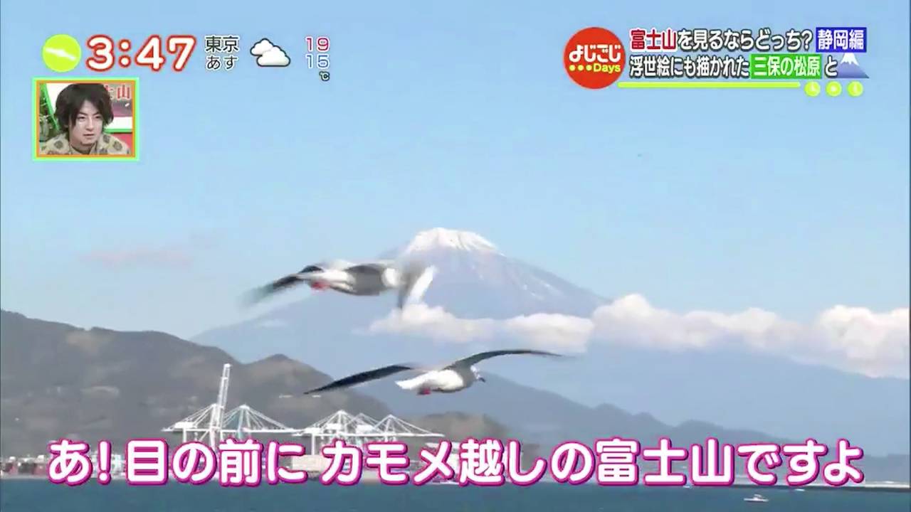 富士山最佳觀賞地點 冬天仲會有好多海鷗近距離咁飛！