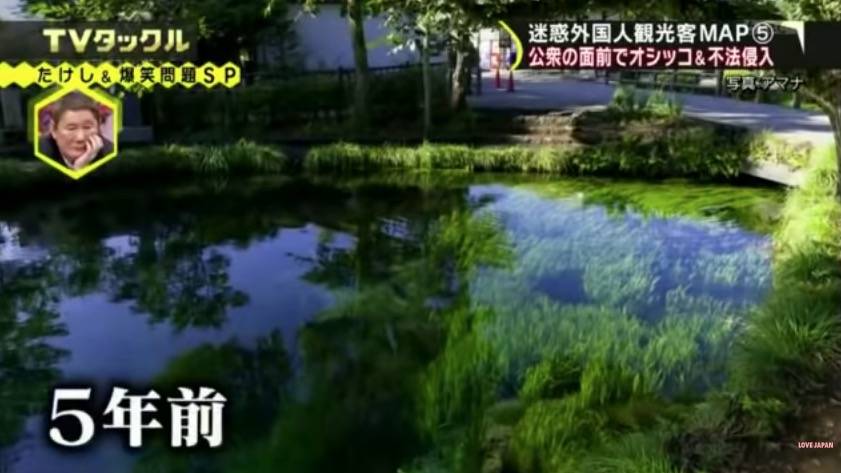 觀光客訪日惡行 5年前清澈的池水。