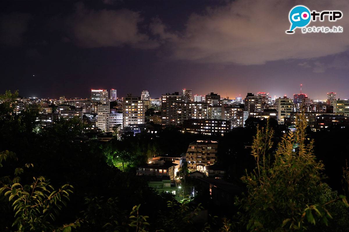 日本櫻花2021 極具層次感的夜景景觀。