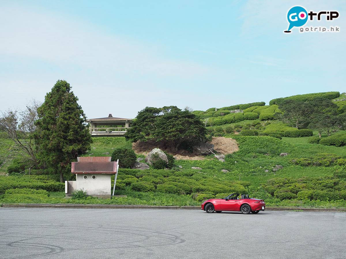 日本櫻花2021 位於平戶島北面，離平戶市十多分鐘的川內峠，是連綿的草原，有如置身汽車廣告之中。