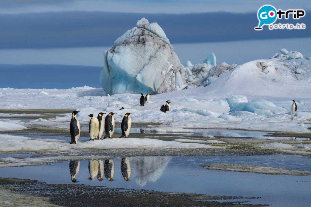 南極企鵝 人生必去Bucket List之一｜南極 企鵝王國朝聖