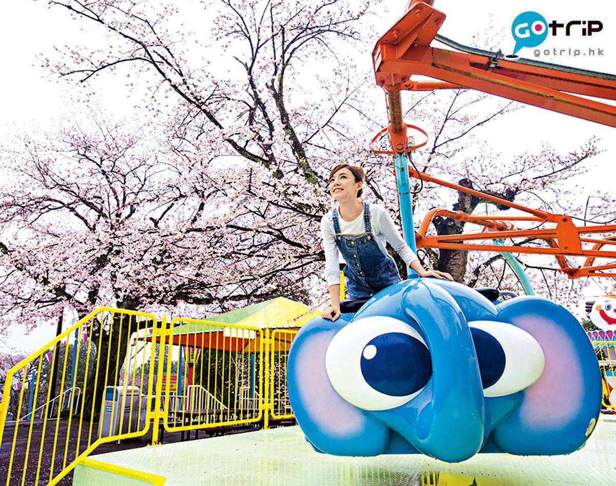  茨城日立市的かみね公園是「日本名所100選」之一，可俯瞰全市景色約14,000棵櫻花樹。