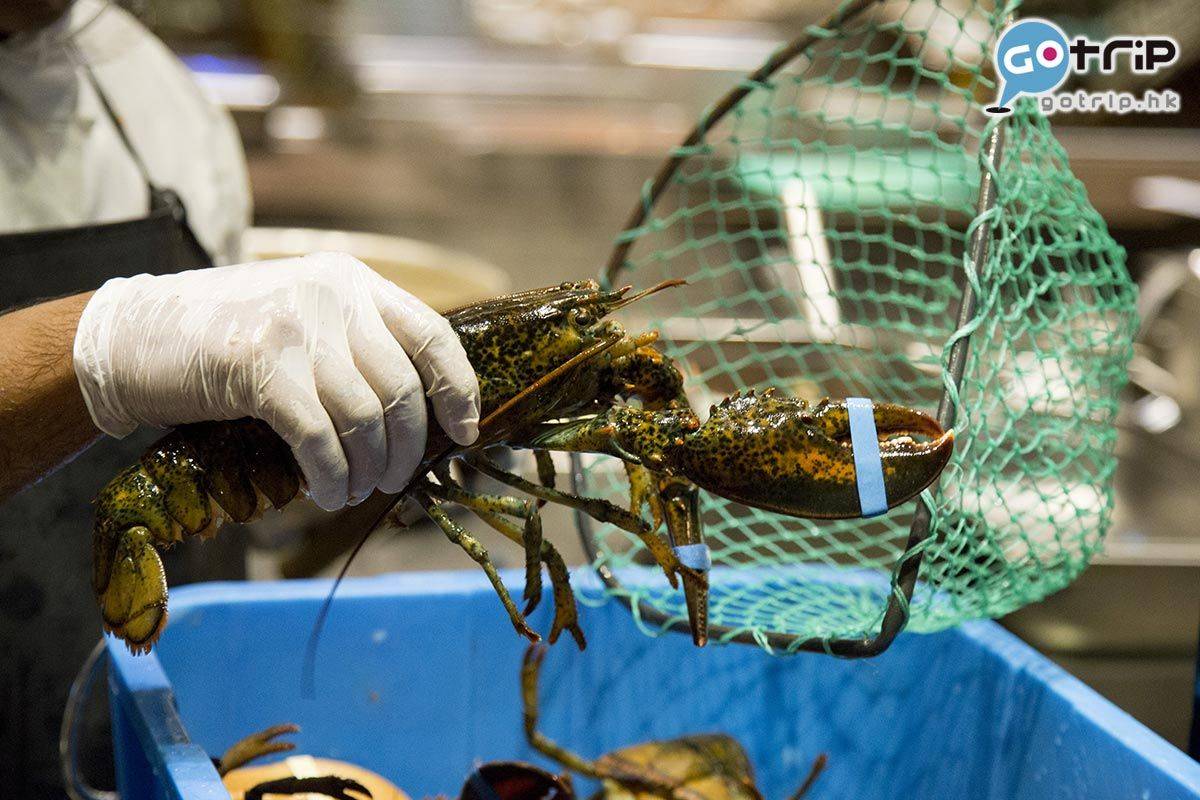 澳門美食2020 即時撈起的波士頓龍蝦有多達9種煮法，食客可自行挑選。