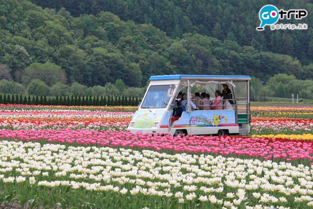 北海道自由行2023 北海道景點 遊覽車遊園一圈約12分鐘，中途可下車拍照。