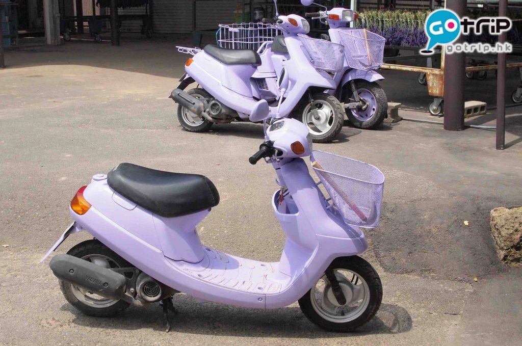 北海道自由行2023 北海道景點 園內所有東西都要紫色，員工坐的電單車也髹上薰衣草色。