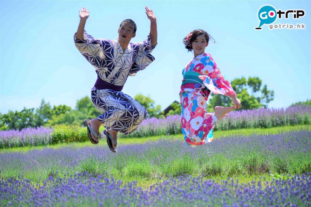 北海道自由行2023 北海道景點 夏天繁花野外樂園，薰衣草非常茂密。