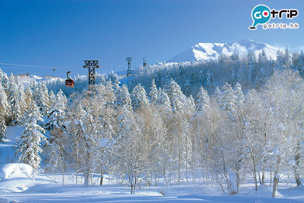 北海道自由行2023 北海道景點 冬天可看到霧淞及太陽光柱等罕見冬雪自然景象。