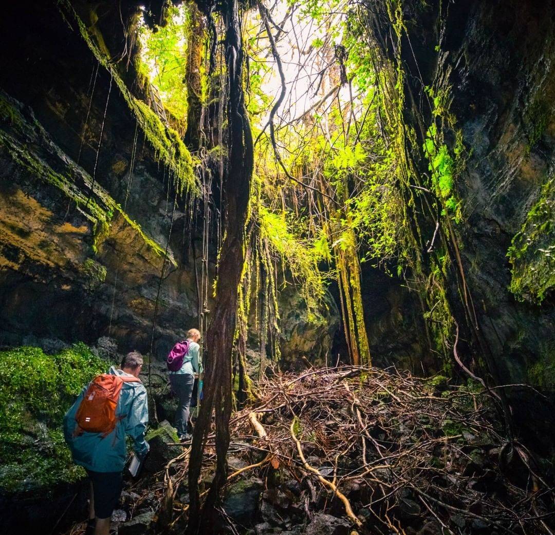 最佳旅遊地點 夏威夷森林和山道之旅Hawaii Forest and Trail），旅客可以在夏威夷森林內進行越野探險，同時認識到火山口的變化。