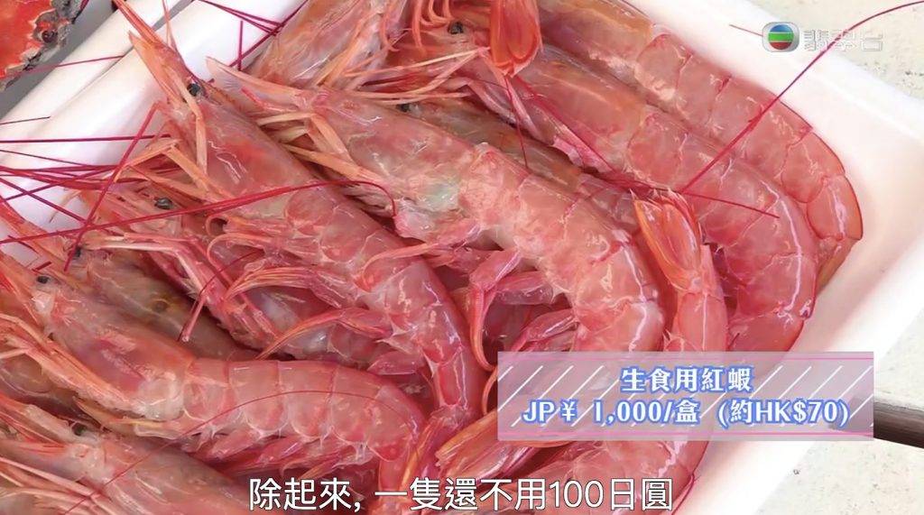 大阪美食 超鮮甜的紅蝦刺身。