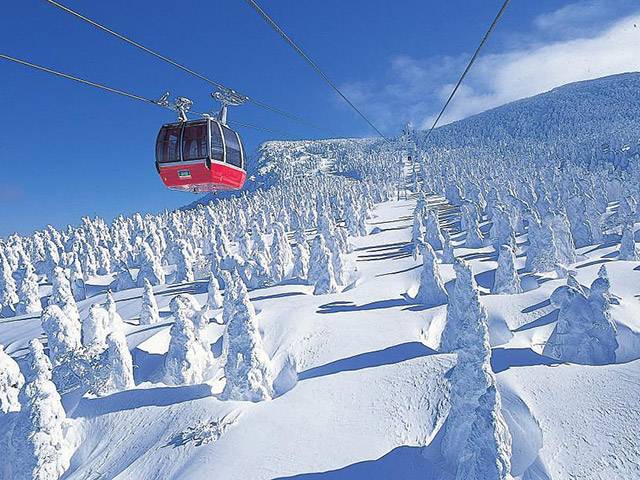 日本賞雪 搭乘藏王纜車，可以在高空一覽壯觀的樹冰奇景。