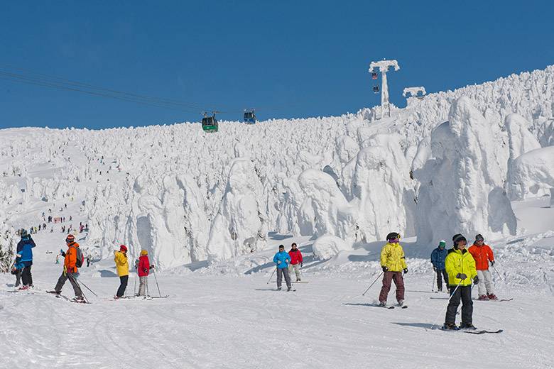日本賞雪 當地亦是滑雪勝地。