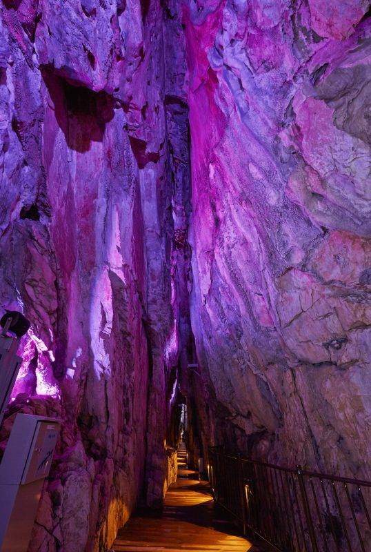 岩手縣 洞內有着各種形態的鐘乳石，被燈光映射下更感夢幻。