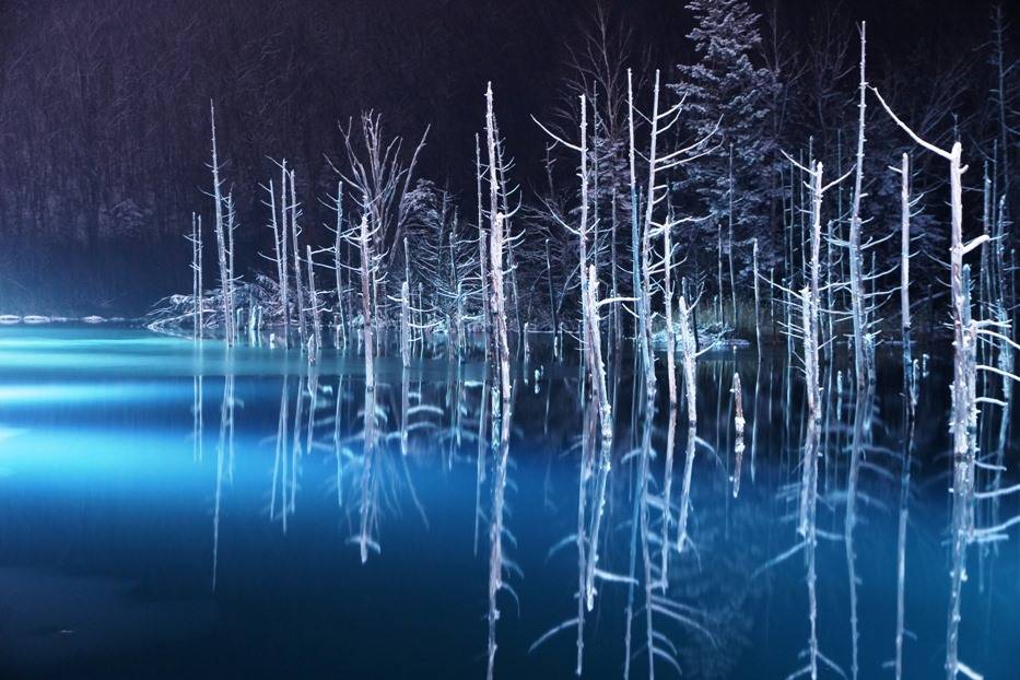 日本雪景 冬季點燈後的青池。