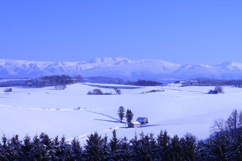 日本雪景 美瑛隨處可見的壯闊雪景。