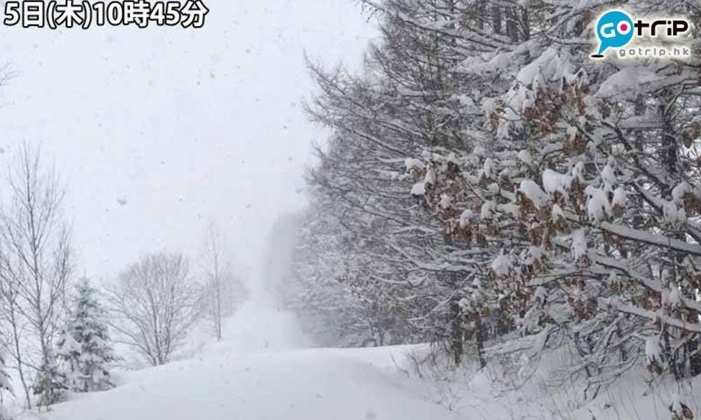 北海道天氣 北海道下大雪 半日積雪已增加50cm 強風及大風雪警戒 Gotrip Hk