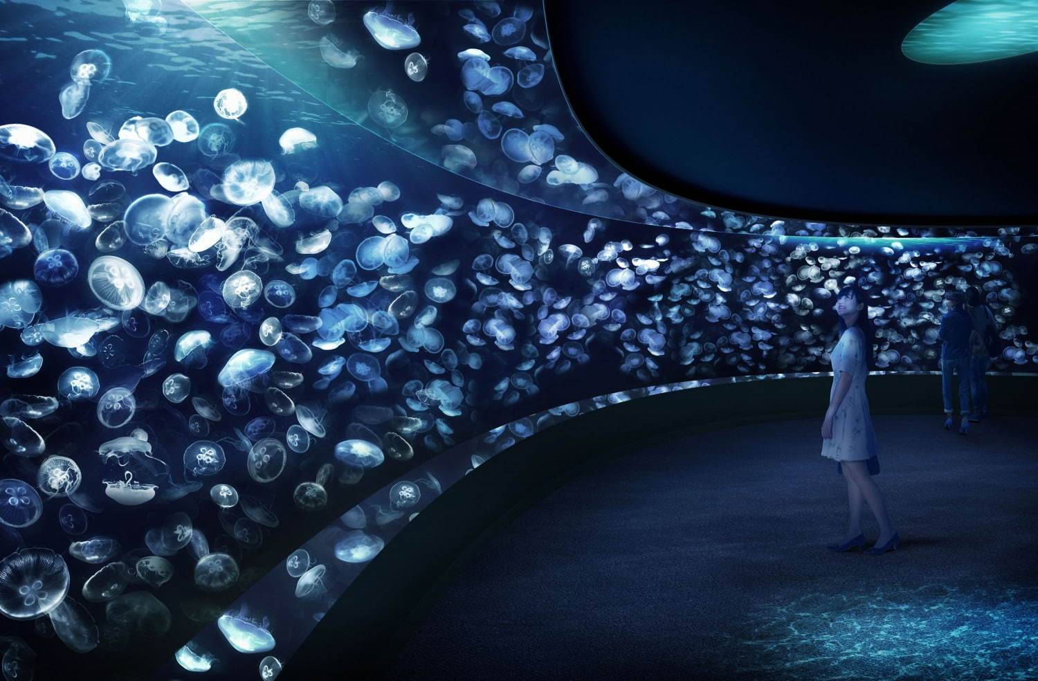 池袋陽光水族館的「海月空感」14米闊的巨型水槽中展示載浮載沉的水母。