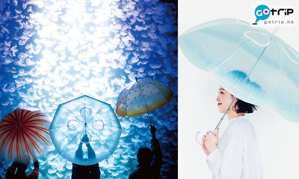 水母雨傘