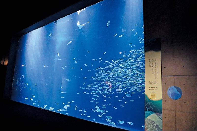 日本四國水族館將開幕！佔地8,000平方米 瀨戶內海絕景海豚劇場 設400種不同生物