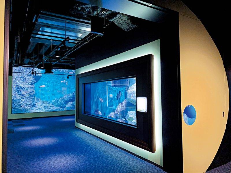 日本四國水族館將開幕！佔地8,000平方米 瀨戶內海絕景海豚劇場 設400種不同生物