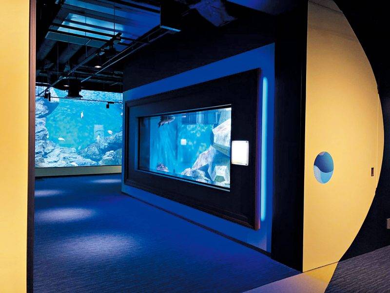 免費機票 日本四國水族館將開幕！佔地8,000平方米 瀨戶內海絕景海豚劇場 設400種不同生物