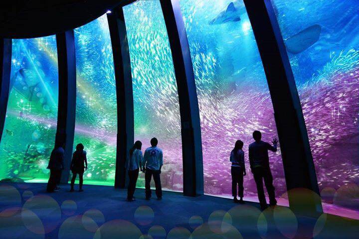 台北水族館XPark 台北桃園「Xpark水族館」今夏開幕　日本八景島首個海外分館　4層樓高透明觀景窗