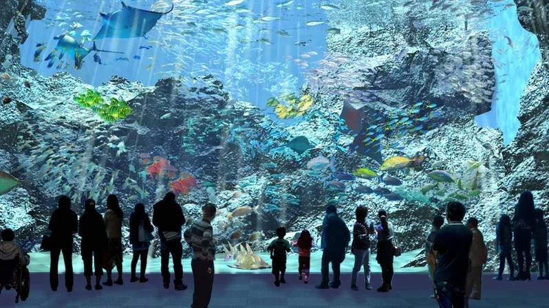 台北桃園「Xpark水族館」今夏開幕　日本八景島首個海外分館　4層樓高透明觀景窗