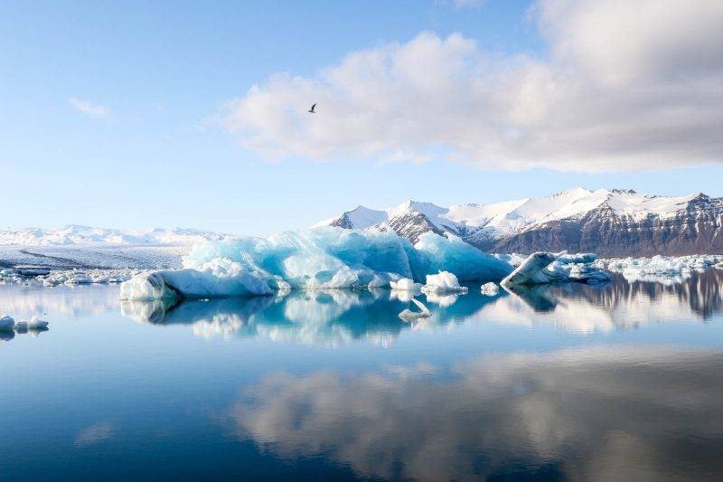 北極 【新冠肺炎】冰島兩間捕鯨公司 宣布今年將會暫停捕鯨！其中一間將永久停止捕鯨！