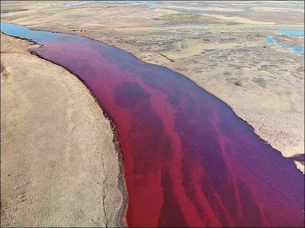 北極圈大災難！嚴重漏油事故河水染成血色！