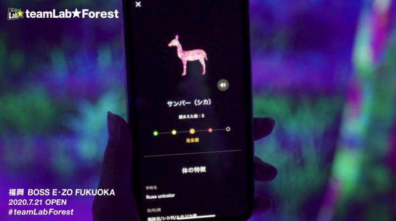 福岡好去處 可以在App內看到各動物的資料。