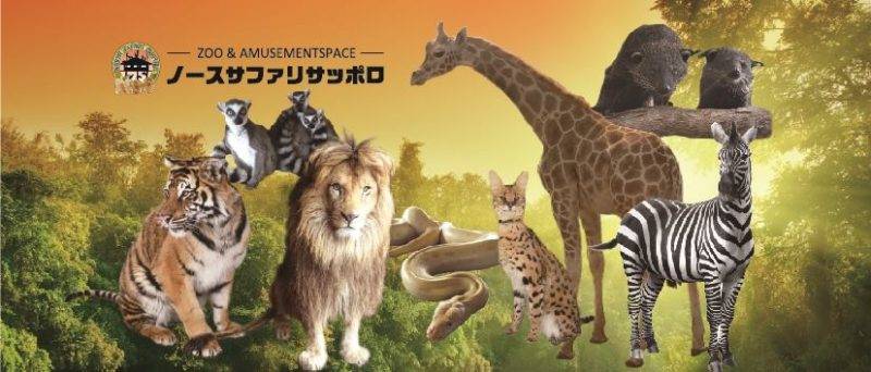 北海道動物園網上眾籌 創意回禮目標超額達成！