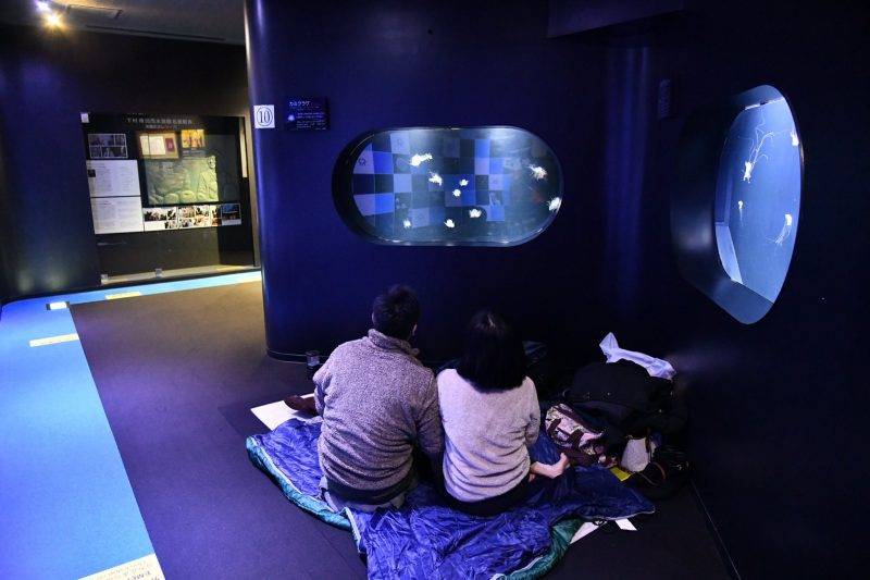 水槽過萬隻水母！全球最大日本水母館 設夜宿水族館體驗