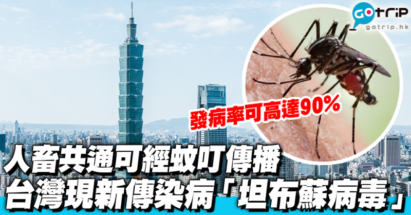 台灣新病毒｜人畜共通新傳染病「坦布蘇病毒」　可經蚊子叮咬感染