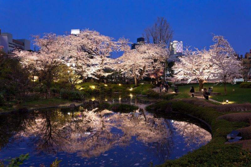 東京酒店排名 酒店位於六本木，距離毛利庭園十分近。