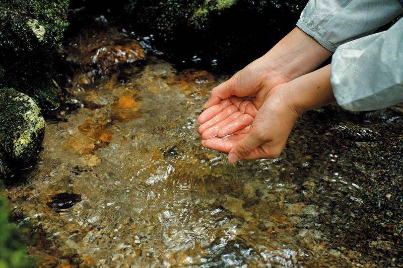 屋久島 在翳悶的林間需要補充水 份，大可學當地人搯起地下 水來喝，水質清甜又沁涼。