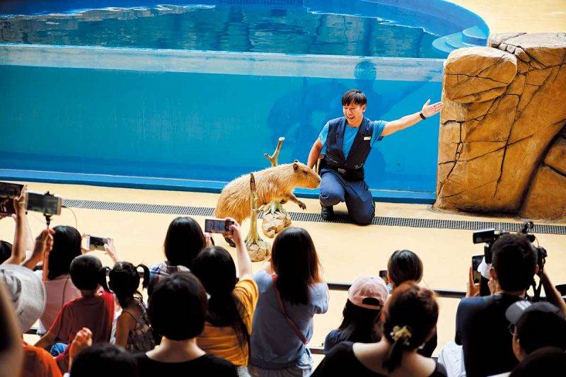 Xpark 台北好去處｜日系水族館首登台灣 佔地1萬5平方米 超美治癒設計