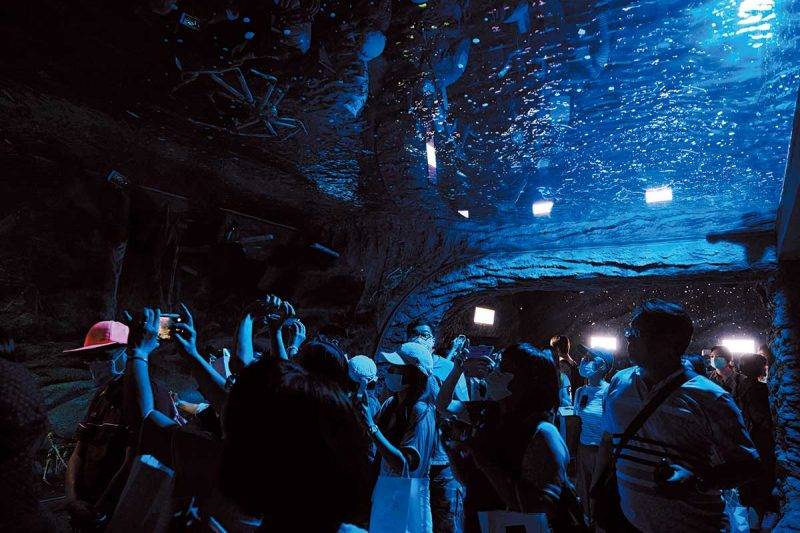 Xpark 台北好去處｜日系水族館首登台灣 佔地1萬5平方米 超美治癒設計