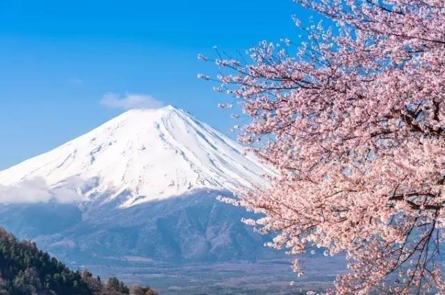 旅行是本命 富士山百看不厭，京都更是一個想一去再去的好地方。