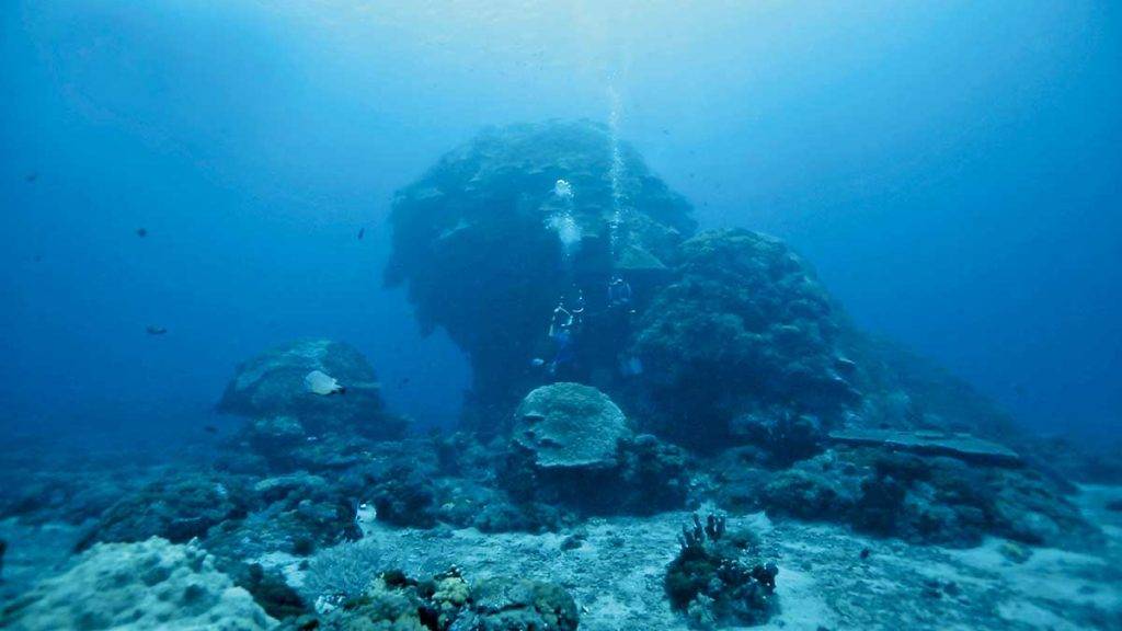 綠島著名的大香菇是世界第二大的微孔珊瑚組成巨大 礁體，有大量的魚群圍繞。可惜2016年颱風下因巨浪 狂掃崩塌，Tim 慶幸第一季有機會拍下其原貌。