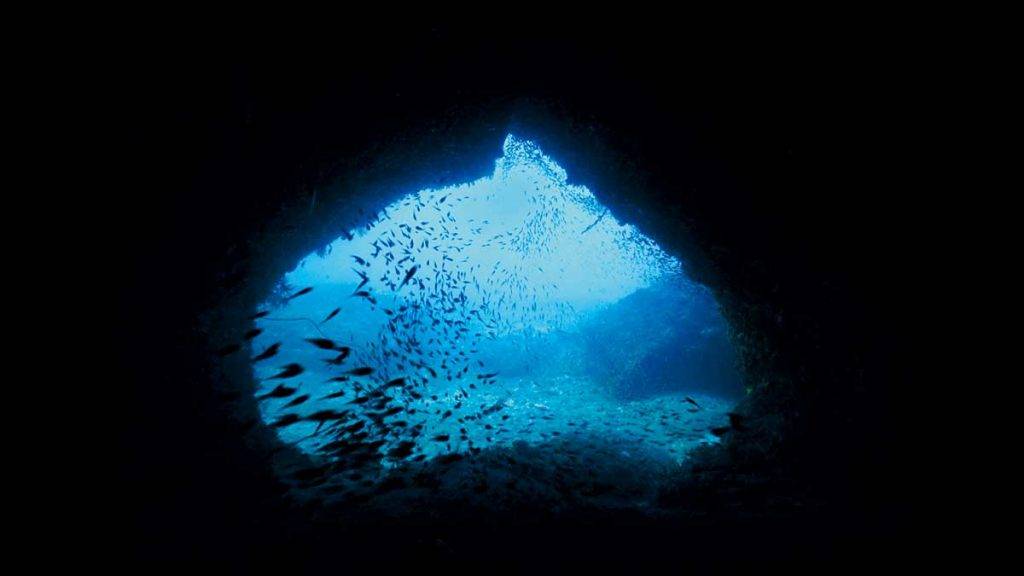 台灣潛水 愛心洞是個海蝕洞，剛好靠洞外的光線照出心形圖案。